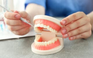 Dentist gently touching a neat dummy of false teeth with a dental instrument, displaying the work ethic at Pike District Smiles.