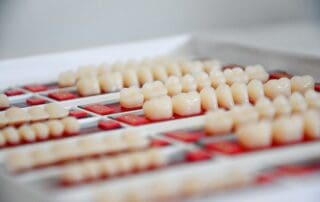 Tray of teeth models arranged in rows.